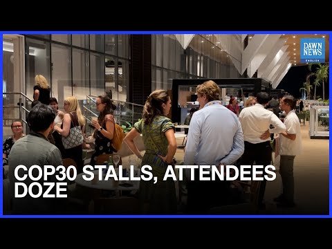 COP30 talks stall on fossil fuels as attendees nap and snack | Dawn News English