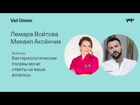 Бактериологические посевы мочи: ответы на ваши вопросы