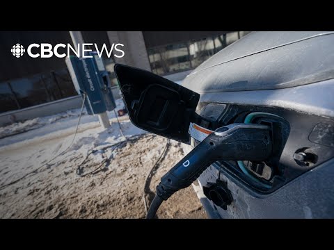 What this EV enthusiast thinks about Canada's new policy
