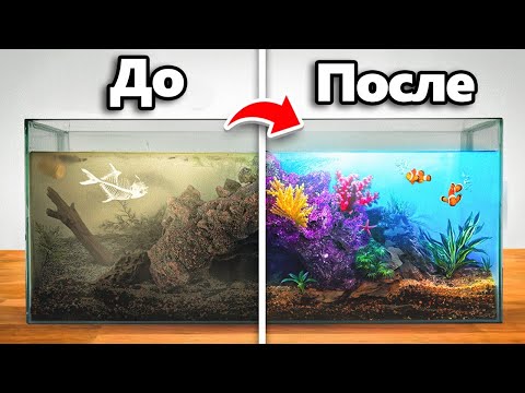 Преобразование Заброшенного Аквариума (с рыбами)