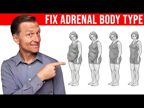 How to Fix the Adrenal Body Type - Dr. Berg