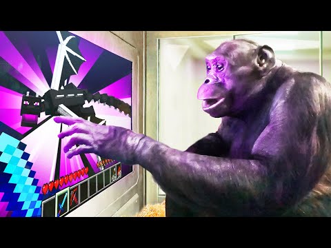 I Taught an Ape to BEAT Minecraft