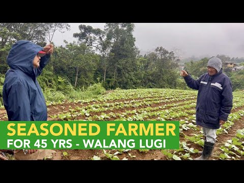 Paano Gawing Sustainable ang Farming? Mag-alaga ng Hayop at Isda - Pagkain ng mga Tao sa Farm!
