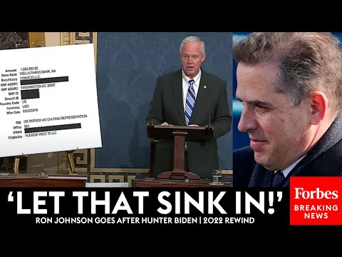 Ron Johnson Makes Case Against Hunter Biden, Showcases Bank Records | 2022 Rewind