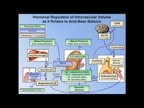 Metabolic Alkalosis (ABG Interpretation - Lesson 10)