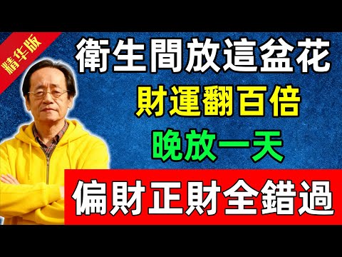 倪海廈：衛生間放這盆花，財運翻百倍，晚放一天，偏財正財全錯過！#佛陀#佛法 #佛教 #修行 #智慧 #因果#佛學知識 #佛學智慧#风水 #风水玄学