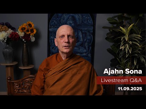 Live from Birken: Dhamma Q&A with Ajahn Sona (11.09.2025)
