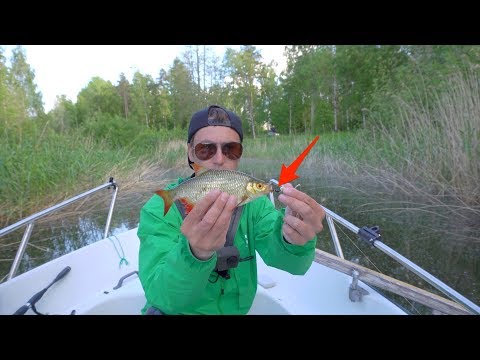 Ловля краснопёрки на ультралайт. Эти вертушки косят всю рыбу. Вертушки вьюновки / Catching rudd