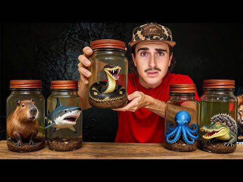 I Bought the Most Dangerous Creatures on the Dark Web! 