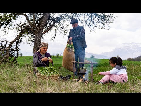 Foraging Wild Forest Onion & Crafting a Seasoning That Lasts Years