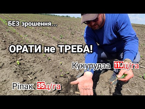 Плуг не треба! Cоняшник 45ц без зрошення. Сівалка Kuhn Maxima 3 круче Vaderstad? Ріпак по стерні