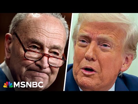 Senate Dems block legislation to pay govt. workers due to fear it would give Trump more power