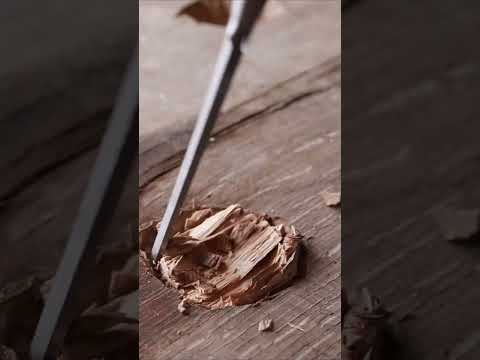 Bushcraft skills #bushcraft #survival #camping #forest #solo Part - 7