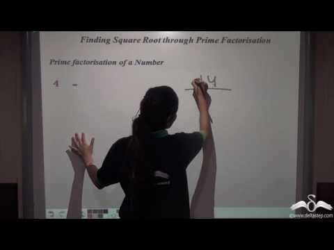 Finding square roots: Prime Factorization Method