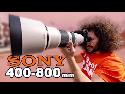 SONY 400-800mm f6.3-8 REVIEW: The ULTIMATE “Budget” Birding / Wildlife ZOOM Lens?! (vs Sony 200-600)