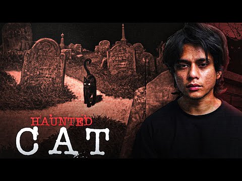 Creepy Story About Cat Called Boots (Horror Story)