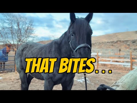 Life With Females Can Be A Bit…Dramatic, As Rudnik Is Starting To Learn…😅