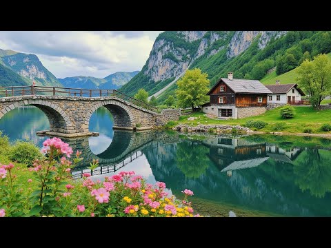 Relax your nervous system 🌸 Relaxing music and nature sounds for deep sleep and stress relief