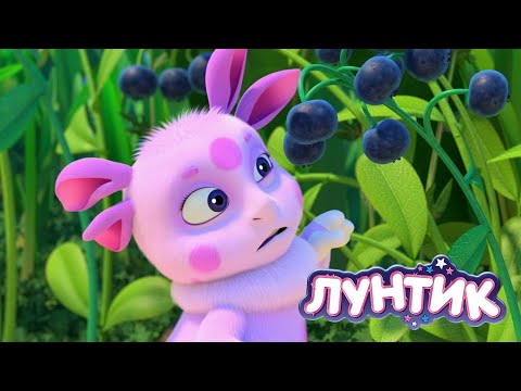 Luntik 🍋🍋🍋 Sour Berry 🍋🍋🍋 Collection of cartoons for children