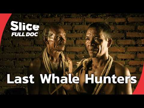 The Whale Hunters of Lamalera: Survival and Conflict in a Changing Sea | FULL DOCUMENTARY