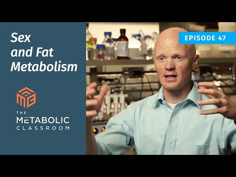 47: The Skinny on Fat - Sex and Fat Metabolism with Dr. Ben Bikman
