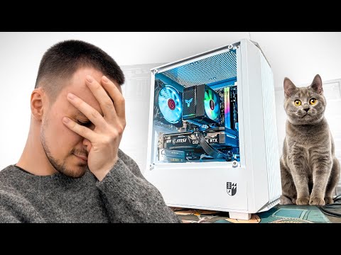 Кот разбил ПК клиента! Что с ним стало? 🤬