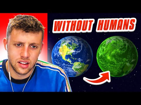 What If Humans Were Never On This Planet?