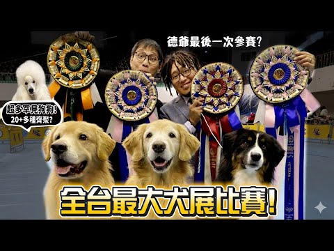 【德爺】全台最大場次犬展比賽！德爺最後一次出賽?20+種以上狗狗齊聚!黃金獵犬上場超失控!會不會大扣分?【許伯簡芝】
