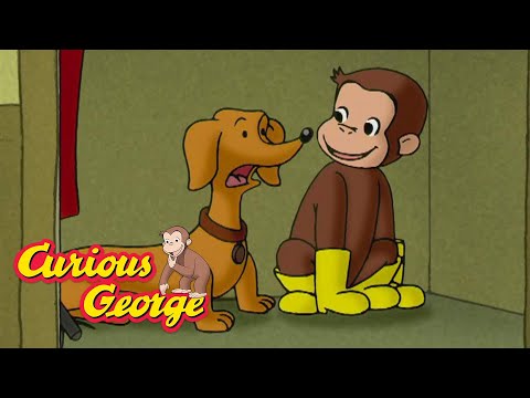George Is A Good Dog! π΅ Curious George π΅ Kids Cartoon π΅ Kids Movies