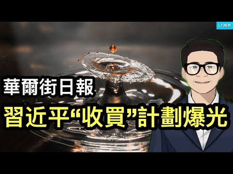 華爾街日報，習近平的“收買”計畫被爆光；中國首富變“老賴”，八卦背後的殘酷社會現實；為何西貝成了“全民公敵”？