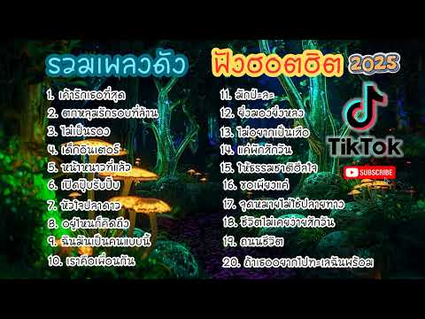รวมเพลงดัง ฟังฮอตฮิต 2025 I EP.9 I 20 เพลงไทยใหม่มาแรงใน TikTok ปี 2025