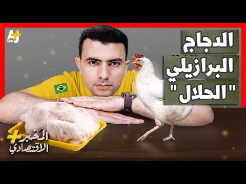 المُخبر الاقتصادي+ | كيف أصبحت البرازيل أكبر مصدر للدجاج "الرخيص" في العالم؟