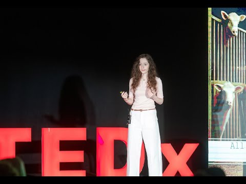 Beyond numbers - How humanitarians shape our world | Natalie Paghava | TEDxYouth@TbilisiGreenSchool