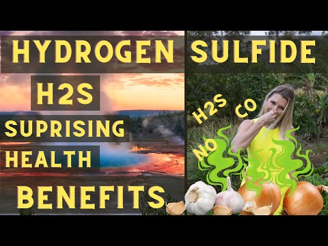 Why Hydrogen Sulfide (H2S) is the Gasotransmitter You Never Knew You Needed