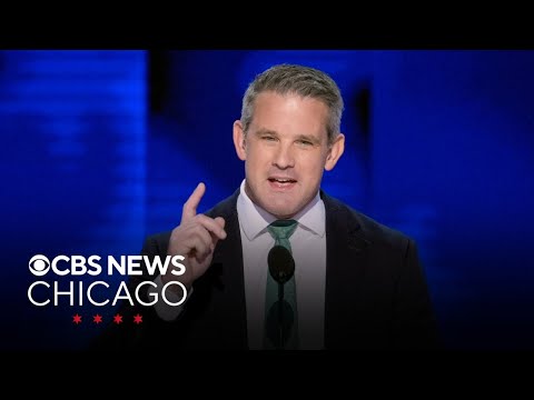 Adam Kinzinger, ex-Republican congressman, talks "awkward alliance" with Democrats