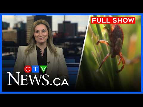 Tick activity ramps up as Maritimers spend more time outdoors | CTV News at 5 for April 17, 2026