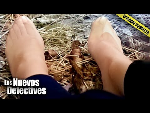 Dos Casos De Secuestro Que Nadie Pudo Haber Predicho | Los Nuevos Detectives