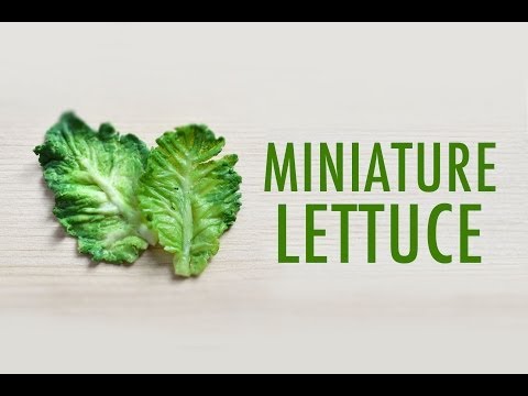 LETTUCE LEAF • miniature • polymer clay tutorial