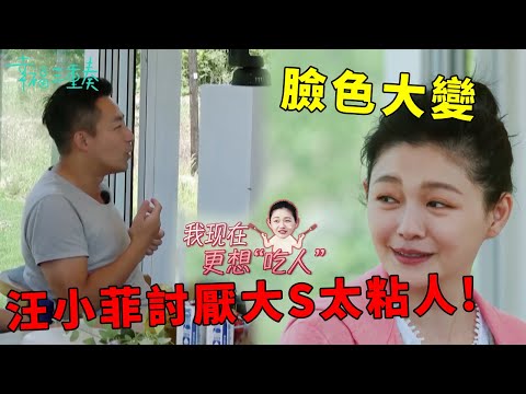 ❤️汪小菲自爆討厭大S粘著自己，坦言想要個人空間，大S臉色大變想“吃人” | 幸福三重奏第一季【大S 汪小菲】