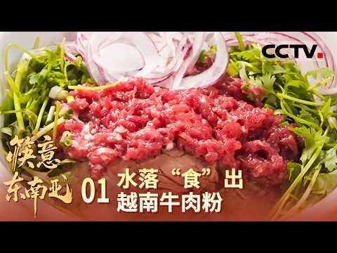 《筷意东南亚》01 水落“食”出:用筷子开启一场风味之旅!夹上一筷子越南牛肉粉送入口中 再来一碗肉骨茶【CCTV纪录】