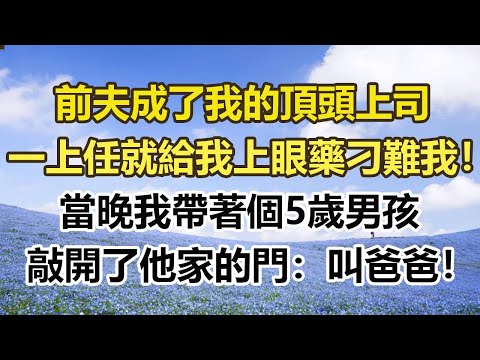 前夫成了我的頂頭上司，一上任就給我上眼藥刁難我！當晚我帶著個5歲男孩，敲開了他家的門：叫爸爸！#幸福敲門 #為人處世 #生活經驗 #情感故事