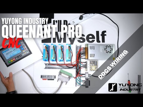 QueenAnt Pro - DDCS Wiring