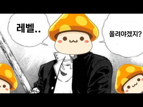 [Maple Story] "Leveling Up, Why Should I?" - The Value of Leveling