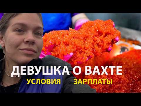 How much do they pay on a rotational basis at a Kamchatka fish factory? My REAL salary figures fo...