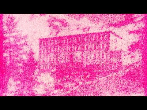 How to create Photo Prints using only Beetroot Juice - Anthotype