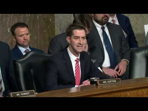 January 31, 2024: Cotton in Senate Judiciary Committee Hearing