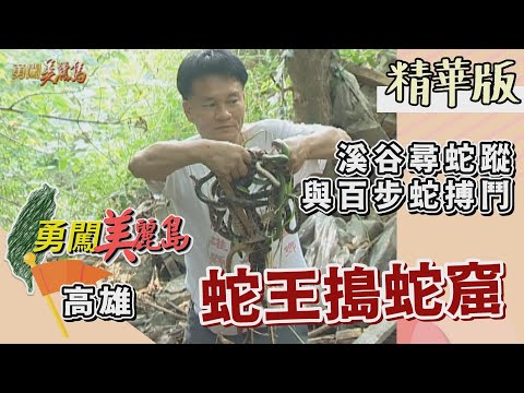【勇闖美麗島】台灣蛇王直搗龍穴 與百步蛇搏鬥為民除害（林園鳳凰山找蛇窟／台灣六大毒蛇）│2001.12.26│ 77集精華版