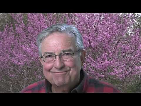 Breaking Through Invisible Barriers to Your Trading  Success