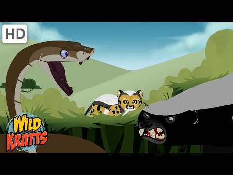 Creature Battles! | Every Creature Showdown Part 1-13| Wild Kratts