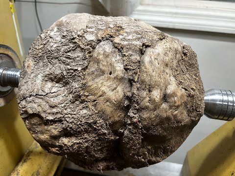 Gnarly Oak Burl Transformation into a Rustic Beauty